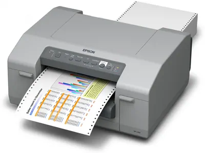Замена памперса на принтере Epson C831 в Краснодаре